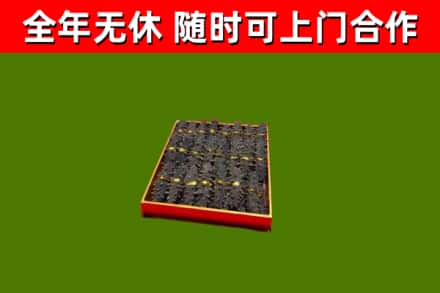 缙云县回收海参